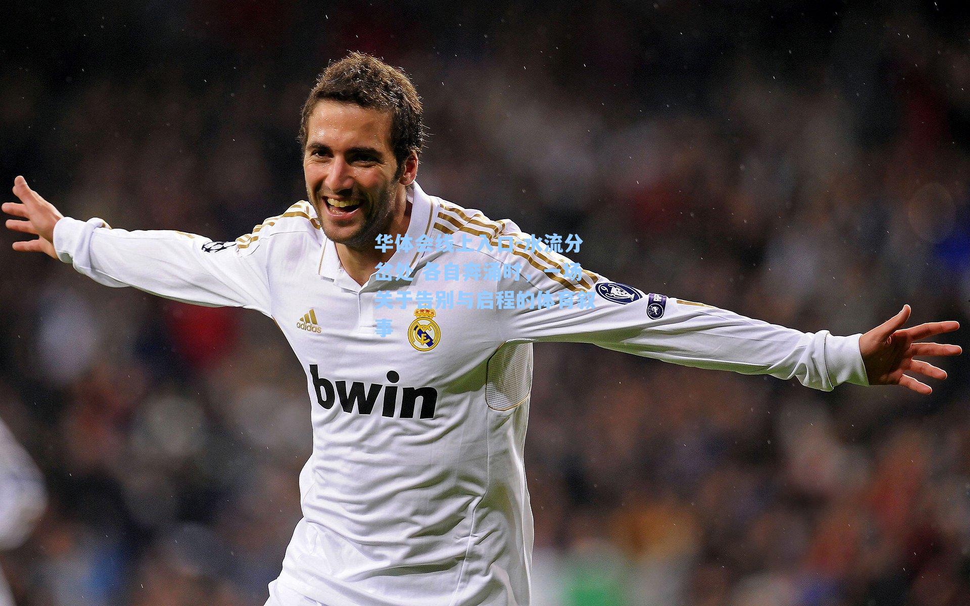 华体会线上入口-水流分岔处 各自奔涌时，一场关于告别与启程的体育叙事