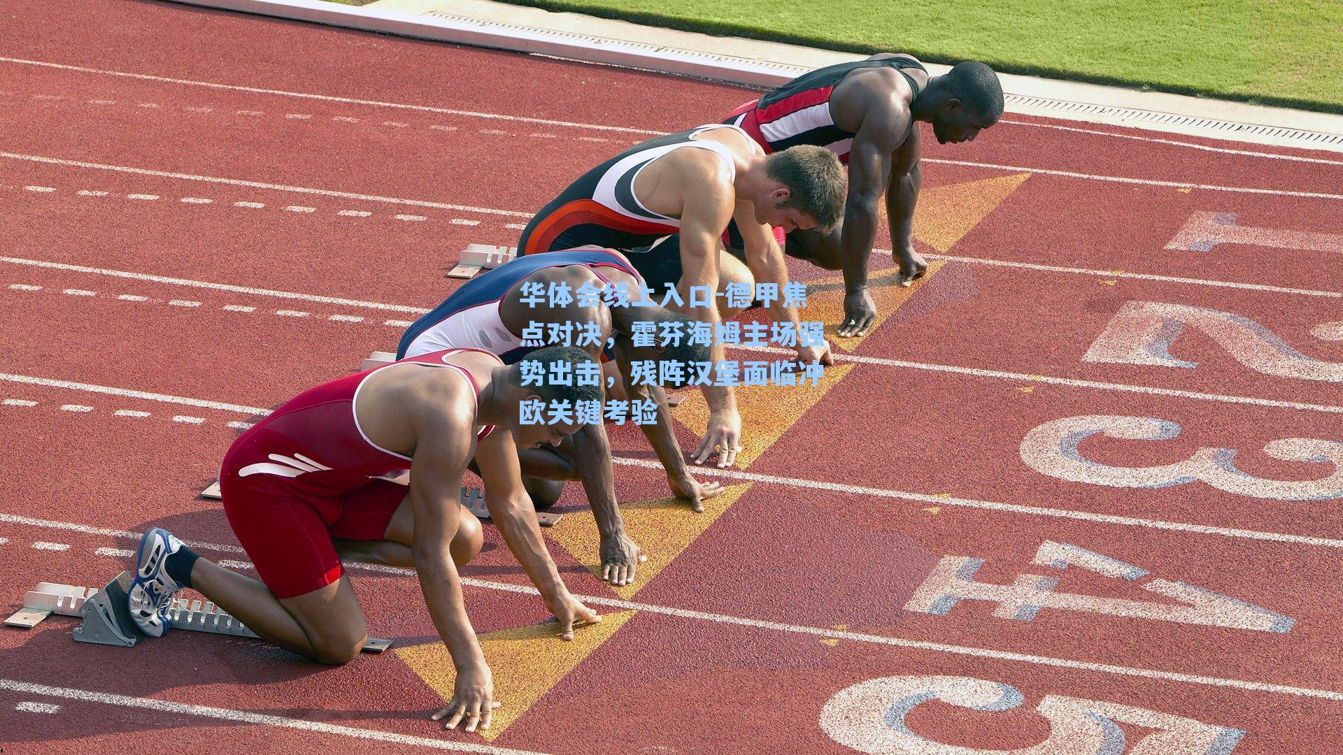 华体会线上入口-德甲焦点对决，霍芬海姆主场强势出击，残阵汉堡面临冲欧关键考验